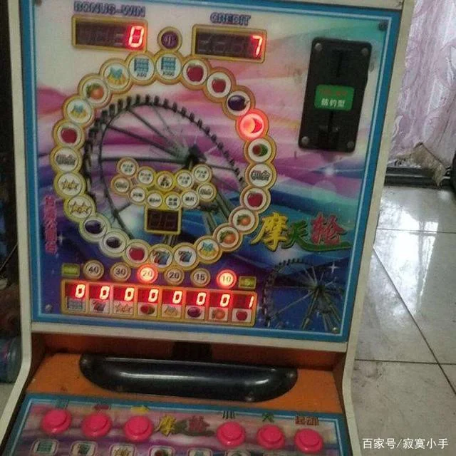 国际人3D电子游戏